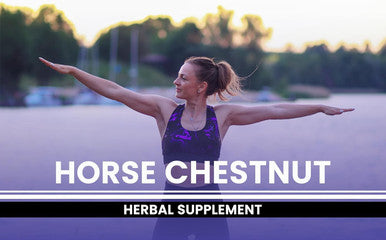 PURE ORIGINAL INGREDIENTS Horse Chestnut (365 Capsule), No Magnesium Or Rice Fillers, Always Pure, Lab Verified