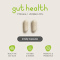 Pre And Probiotics For Gut Health Women & Men, 17 Bio Cultures Complex, Probiotics For Adults. Bloating Gut Health Probiotics. Vegan Probiotics And Prebiotics, Vitabright Gut Probiotic Supplements