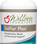 Sulfur Plus with Biotin 6000mcg and MSM 1000mg for Hair Skin Nails 100 Capsules