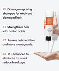 No Nothing Hair Repair Shampoo For Dry Damaged Hair Fragrance Fortified With Amino Acids 10.15 Oz