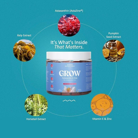 A Superfoods Grow Hair & Beauty Gummies Supplement With Zinc Vitamin E Astaxanthin Kelp & Pumpkin Seed Plant Based Gummies For Women & Men Gluten Vegan American Made 60 Count