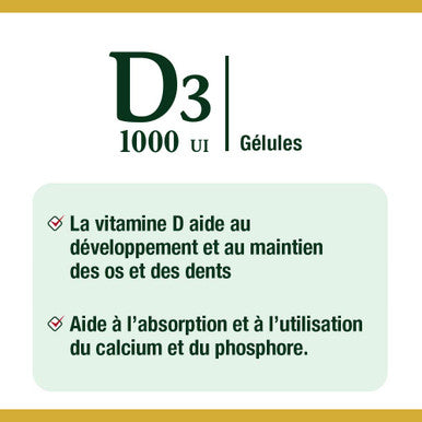Nature's Bounty Vitamin D3 1000 Iu Mega Value 500 Softgels