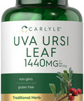Carlyle Uva Ursi Capsules | 1400Mg | 150 Count | Herbal Leaf Extract | Non-Gmo | Gluten Free Supplement