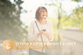 PURE ORIGINAL INGREDIENTS White Kidney Bean, (100 Capsules) Always Pure, No Additives Or Fillers, Lab Verified
