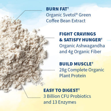 Garden of Life Raw Organic Fit Vegan Protein Powder Vanilla 20 Servings | 28g Plant Based Powder for Weight Management Raw Protein Probiotics & Fiber Non-GMO Gluten-Free Vegan