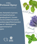 Earth Mama Herbal Perineal Spray Safe For Pregnancy And Postpartum Recovery, Witch Hazel Natural Cooling Spray For After Birth Feminine Care Essentials, No Benzocaine Or Butane, 4-Fluid Ounce