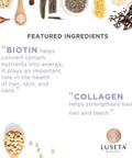Biotin Collagen Shampoo Conditioner SetThicking Shampoo for Hair Loss Fast Hair Growth Sulfate Paraben Keratin Color Safe 2x33.08oz