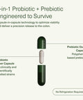 DS-01 Daily Synbiotic Probiotic + Prebiotic 60 Capsules 53.6 Billion AFU Digestive Health Gut Health and Immune Health Multi Strain Probiotics for Women and Men Vegan and Shelf Stable