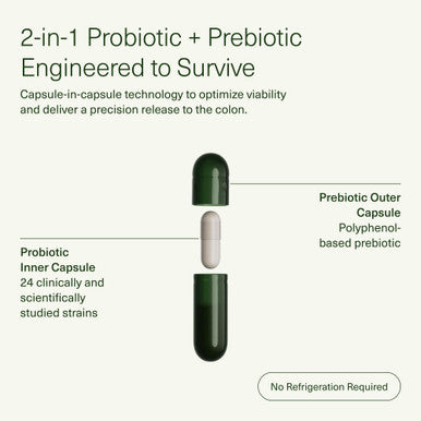 DS-01 Daily Synbiotic Probiotic + Prebiotic 60 Capsules 53.6 Billion AFU Digestive Health Gut Health and Immune Health Multi Strain Probiotics for Women and Men Vegan and Shelf Stable