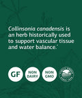 Standard Process Collinsonia Root - Whole Food Vascular Supplement, Digestive Health, Bladder Support, Digestion, And Kidney Supp