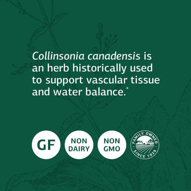 Standard Process Collinsonia Root - Whole Food Vascular Supplement, Digestive Health, Bladder Support, Digestion, And Kidney Supp
