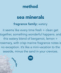 Method Gel Dish Soap Refill Sea Minerals Biodegradable Formula Tough on Grease 36 Fl Oz (Pack of 6)