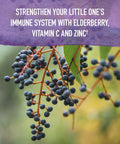 Garden of Life Organics Elderberry Immune Support For Kids With Zinc Vitamin C - Kids Elderberry & Sleep Immune Syrup Liquid Bedtime Herbs For Children No Alcohol No Added Sugar 3.92 Fl Oz