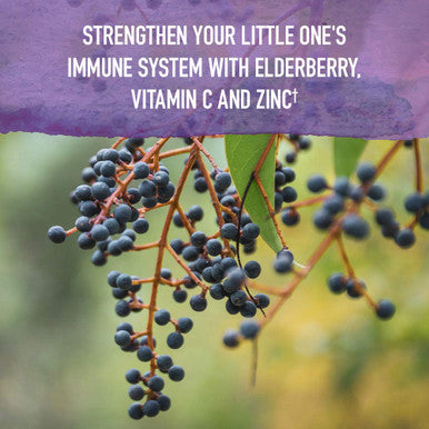 Garden of Life Organics Elderberry Immune Support For Kids With Zinc Vitamin C - Kids Elderberry & Sleep Immune Syrup Liquid Bedtime Herbs For Children No Alcohol No Added Sugar 3.92 Fl Oz