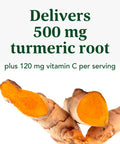 MegaFood Daily Turmeric Nutrient Booster Powder - Turmeric Supplement -With Black Pepper Extract Tart Cherry & Vitamin C - Vegan - Made Without 9 Food Allergens - 2.08 Oz (30 Servings)