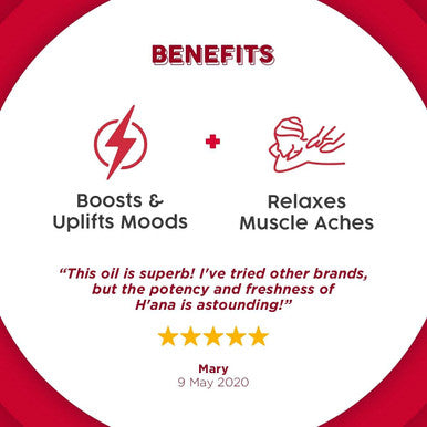 Hana Cinnamon Bark Essential Oil - Boosts Energy and Soothes Body Aches - For Stronger Workouts - 100 Pure Therapeutic Grade For Aromatherapy and Topical Use - 30ml