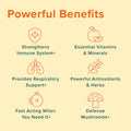 Ultimate Immune Support Vitamin C D E and Zinc Natural Immunity Booster Multivitamin Herbal Supplement Elderberry Eusacea Daily Immune Defense Antioxidant Support.