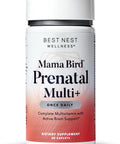 Best Nest Wellness Mama Bird Prenatal Vitamin: Vegan Prenatal Vitamins for Women w/Methylfolate (Folic Acid) w/Organic Herbal Blend Prenatal Vitamins for Women B12 Choline Once Daily 30 Count