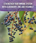 Garden of Life Organics Elderberry Zinc Immune Support For Adults And Kids 12 And Older With Vitamin C - Organic Elderberry & Sleep Immune Syrup Liquid With Sleep Herbs No Added Sugars 6.59 Fl Oz