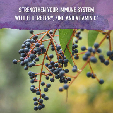 Garden of Life Organics Elderberry Zinc Immune Support For Adults And Kids 12 And Older With Vitamin C - Organic Elderberry & Sleep Immune Syrup Liquid With Sleep Herbs No Added Sugars 6.59 Fl Oz