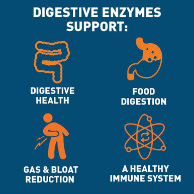 Dr. Tobias Digestive Enzymes Supplement 30 Capsules