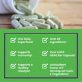 Paradise Herbs - Earth's Blend Biotin | Paired with Vitamins + Probiotics & Anti-Stress Adaptogens | Help Support Overall Whole System Health - 90 Count