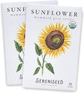 Sereniseed Certified Organic Mammoth Grey Stripe Sunflower Seeds (2-Pack) ÃƒÆ’Ã†â€™Ãƒâ€šÃ‚Â¢ÃƒÆ’Ã‚Â¢ÃƒÂ¢Ã¢â€šÂ¬Ã…Â¡Ãƒâ€šÃ‚Â¬ÃƒÆ’Ã‚Â¢ÃƒÂ¢Ã¢â‚¬Å¡Ã‚Â¬Ãƒâ€¦Ã¢â‚¬Å“ 100% Non GMO, Open Pollinated ÃƒÆ’Ã†â€™Ãƒâ€šÃ‚Â¢ÃƒÆ’Ã‚Â¢ÃƒÂ¢Ã¢â€šÂ¬Ã…Â¡Ãƒâ€šÃ‚Â¬ÃƒÆ’Ã‚Â¢ÃƒÂ¢Ã¢â‚¬Å¡Ã‚Â¬Ãƒâ€¦Ã¢â‚¬Å“ Guide for Indoor & Outdoor Garden Planting