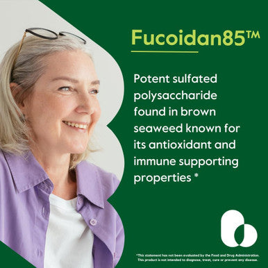 Bestvite Fucoidan Extract 500mg (Standardized to 85% Fucoidan) (120 Vegetarian Capsules) No Fillers - No Stearates - No Flow Agents