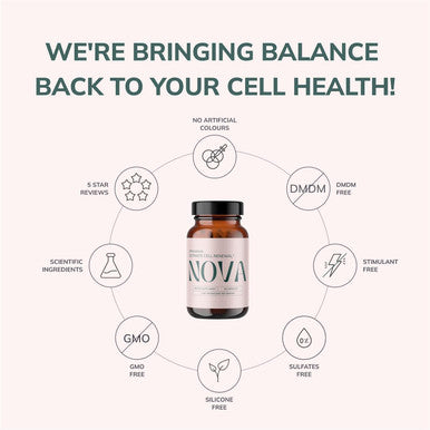 Nova Ultimate Cell Renewal/Spermidine Supplements, Organic Wheat Germ Anti Aging Supplement With High Spermidine, Zinc, And Thiamine For Optimal Autophagy, 60 Capsules (Pack Of 1)