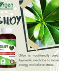 ORGEN GILOY 405 mg 4:1 QCE 1620 mg Extract I Increase Energy I Adaptogen I Resistance to stress