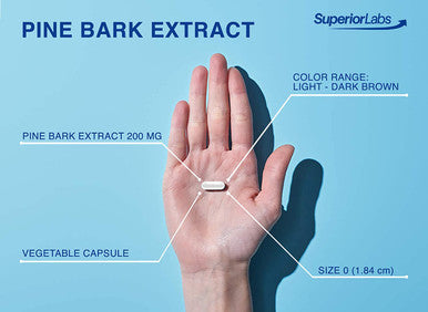 Superior Labs Pine Bark Extract Superior Circulatory Health 200mg 95 OPC 90 Cap Supports Healthy Blood Flow Antioxidant Promotes Healthy Hair Skin Free Radical Protection