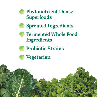 Garden of Life Whole Food Vegetable Supplement - Perfect Food Green Superfood Dietary Powder 600G
