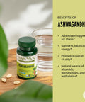 Banyan Botanicals Ashwagandha Tablets Organic Ashwagandha Root Renowned Herbal Adaptogen For Natural Energy Support And Stress Support* 90 Tablets Non-Gmo Sustainably Sourced Vegan