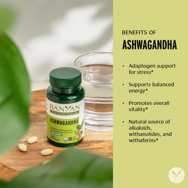 Banyan Botanicals Ashwagandha Tablets Organic Ashwagandha Root Renowned Herbal Adaptogen For Natural Energy Support And Stress Support* 90 Tablets Non-Gmo Sustainably Sourced Vegan