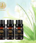 Aromatherapy Rose Essential Oil Set for Diffuser, 100% Pure Lemon Essential Oil Kit for Humidifier, 3x10ml Therapeutic Grade Eucalyptus Essential Oil Scent Set - Rose Lemon Eucalyptus Oil Kit for Home