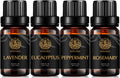 Aromatherapy Eucalyptus Essential Oil Set for Diffuser, 4x10ml 100% Pure Lavender Essential Oil Kit for Humidifier-Peppermint, Rosemary Essential Oils Set, Pure Peppermint Essential Oils Kit for Home