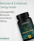 Ambrosial Ambrosial Ashwagandha Capsules 500mg per Capsule | High Strength Ashwagandha Root Powder| Herbal Supplement with Immunity Support | Non-GMO & Gluten (Pack of 1)