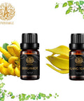 Aromatherapy Ylang Ylang Essential Oil Set for Diffuser, 100% Pure Bergamot Essential Oil Kit for Humidifier, 2x10ml Therapeutic Grade Begarmot Essential Oils Set - Ylang Ylang & Bergamot Oil for Home