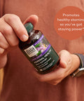 Gaia Herbs Adrenal Health Daily Support - with Ashwagan, Holy Basil & Schisandra - Herbal Supplement to Help Maintain Healthy Energy and Levels - 120 Liquid Phyto-Capsules (120 Count)