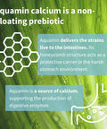Live Cultures+ Lab4 Probiotics, Vegan Lactobacillus Acidophilus & Bifidobacterium, Guaranteed 25 Billion CFU, Plus Non-Bloating Prebiotic for Men & Women, 30 Capsules, by Igennus
