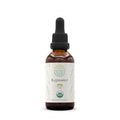 Bugleweed Usda Organic Tincture | Alcohol-Free Extract, High-Potency Herbal Drops, Respiratory System | Certified Organic Buglewe