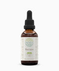 Bacopa B60 Alcohol-Free Herbal Extract Tincture, Concentrated Liquid Drops Natural Bacopa (Bacopa Monnieri) Dried Herb 2 Fl Oz