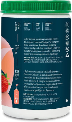 Organika Electrolytes + Enhanced Collagen- Strawberry Peach Flavour- Sugar- Hydration + Protein 360 Gram - 30 Servings
