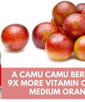 Kapok Naturals Camu Camu - Natural Vitamin C Supplement 100 Count