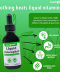 Liquidhealth Liquid Chlorophyll Drops - Internal Deodorizer Liver Detox Immune Support Stop Bad Breath Reduce Appetite Vegan Non-GMO (2 Oz)