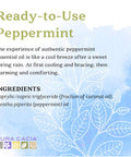 Aura Cacia ReadytoUse Peppermint Essential Oil in Fractionated Coconut Oil GC/MS Tested for Purity 4 fl. oz.