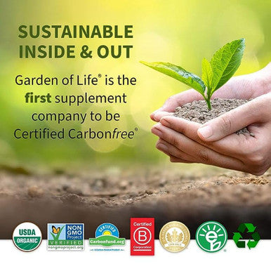 Garden of Life Dr. Formulated Once Daily Prenatal Probiotics 30 Count (Pack Of 1) Vegetarian Capsules