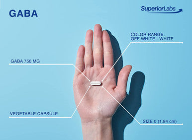 Superior Labs GABA Supplement 750mg Maximum Strength Mood Enhancement Natural Relief of Simple Nervous Tension Promotes Mood Balance Sleep Quality and Natural Brain Function