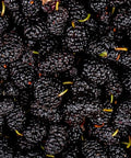 Jovvily Mulberry Fruit Powder - 1lb - Drinks - Smoothies - Shakes - Baked Goods - Mix in