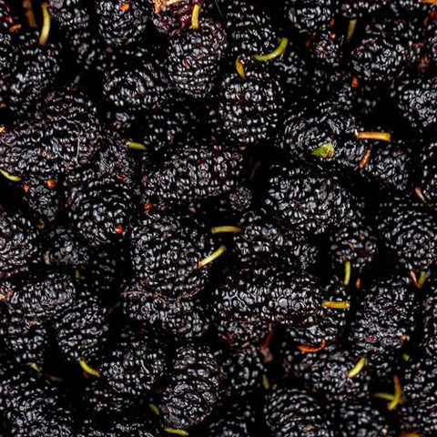 Jovvily Mulberry Fruit Powder - 1lb - Drinks - Smoothies - Shakes - Baked Goods - Mix in